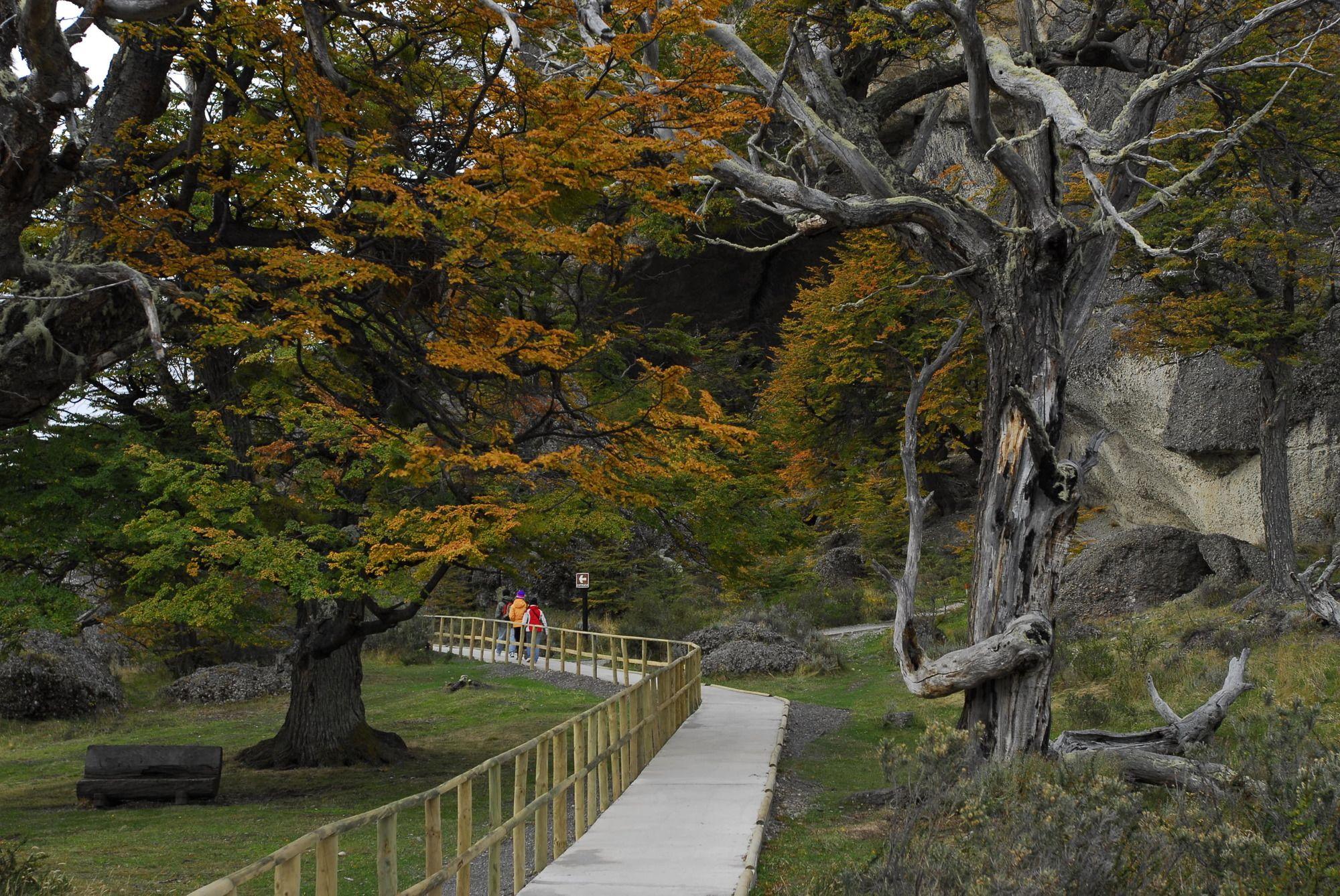 Remota Patagonia Hotel 4*
